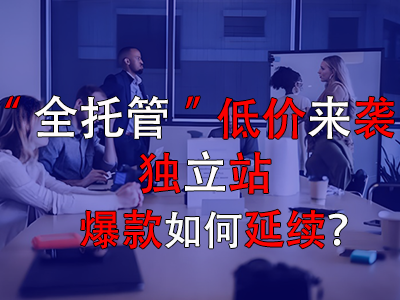 全托管低價(jià)來襲，獨(dú)立站爆款如何延續(xù)？